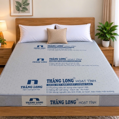 Nệm Thăng Long HOẠT TÍNH